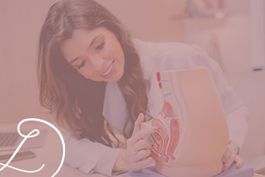 Check-up Ginecológico: Seu guia completo de saúde feminina