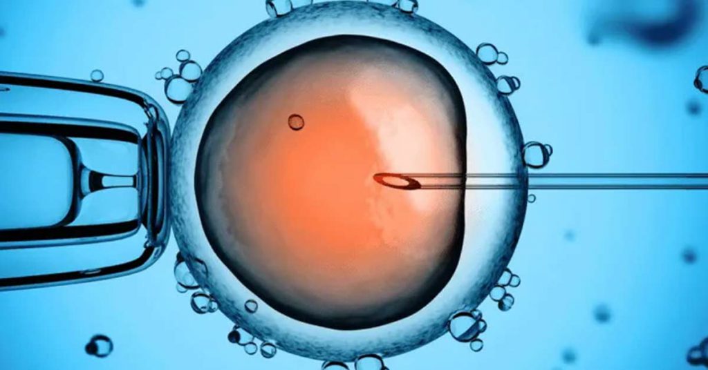 Diferenças entre Inseminação Artificial e Fertilização in vitro 1 24 Diferencas entre Inseminacao Artificial e Fertilizacao in vitro