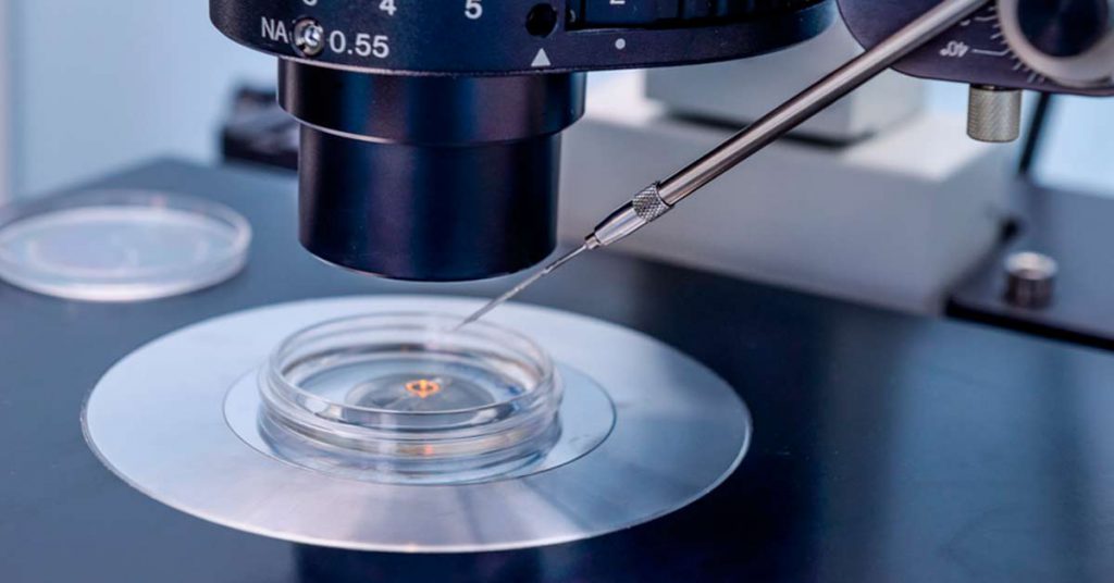 Reprodução Humana Assistida: Técnicas e Tecnologias